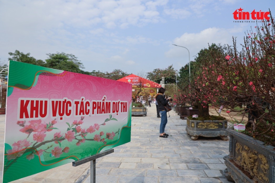 012224 hoi thi dao 2
