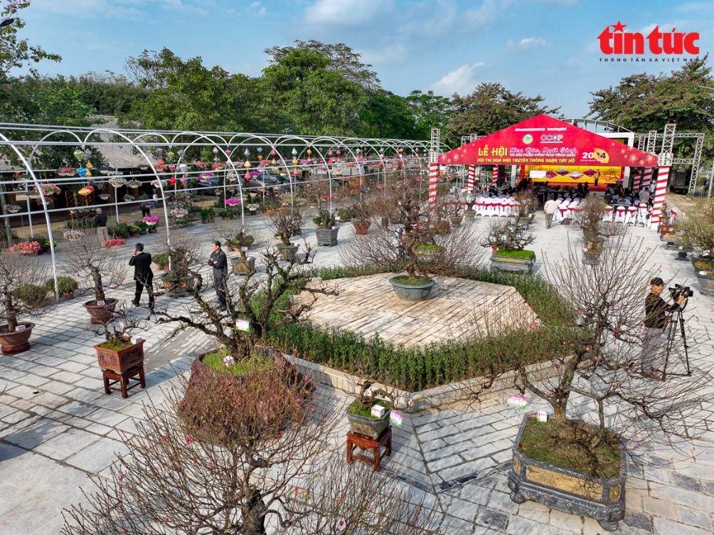 012224 hoi thi dao 8