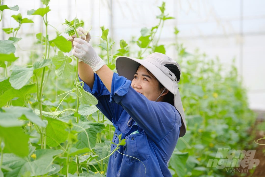 042424 can canh 1