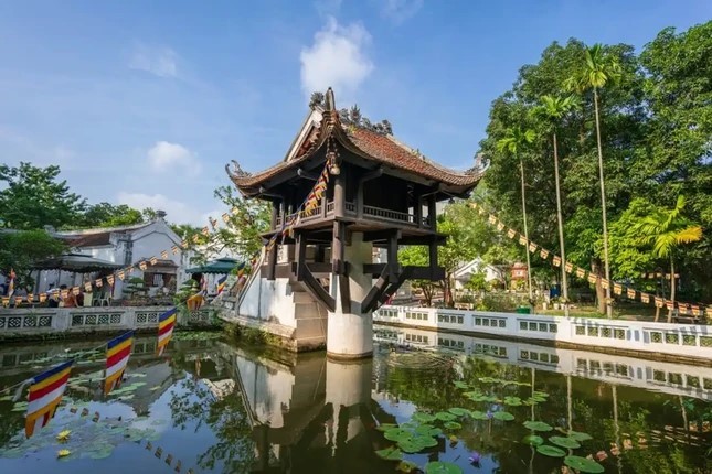 071624 nong lai de xuat hoa sen 5