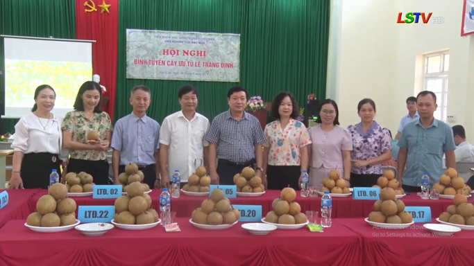 082924 le trang dinh 1