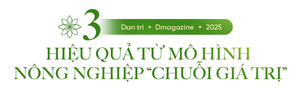081825 danh cuoc 8