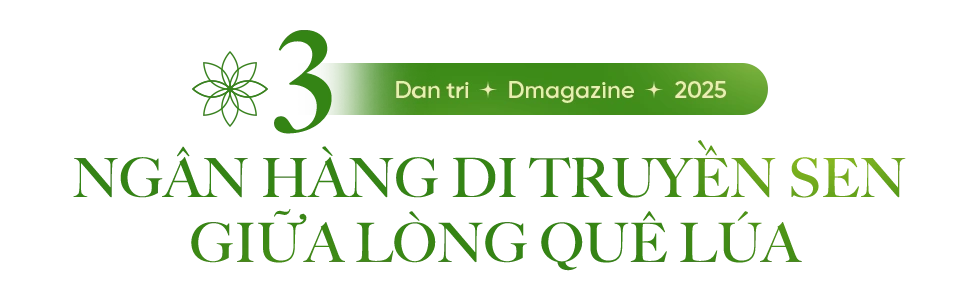 081825 hoa sen vuon minh 5
