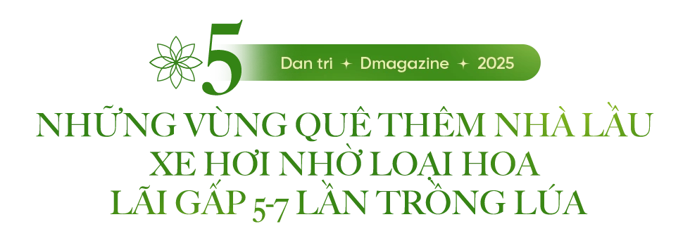 081825 hoa sen vuon minh 9