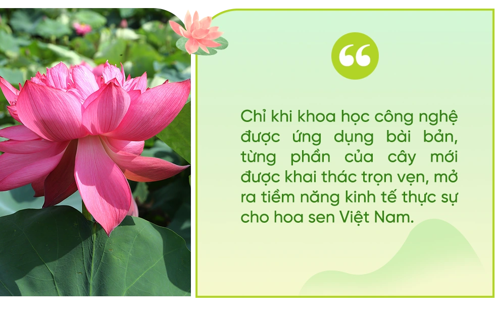082125 chat xam 6