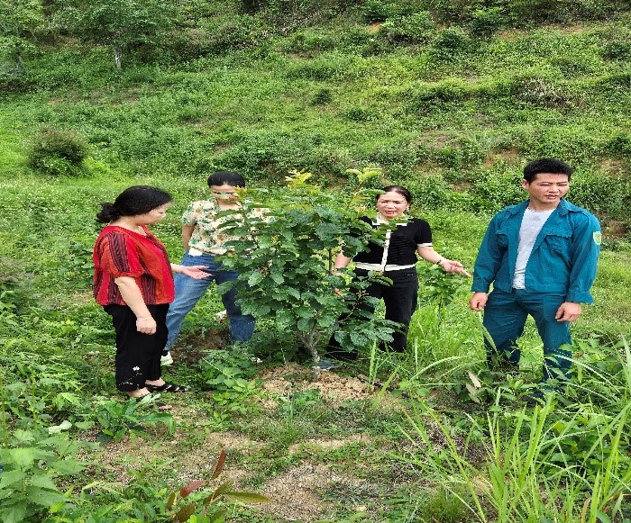 090325 nghiem thu de tai tinh 3.png