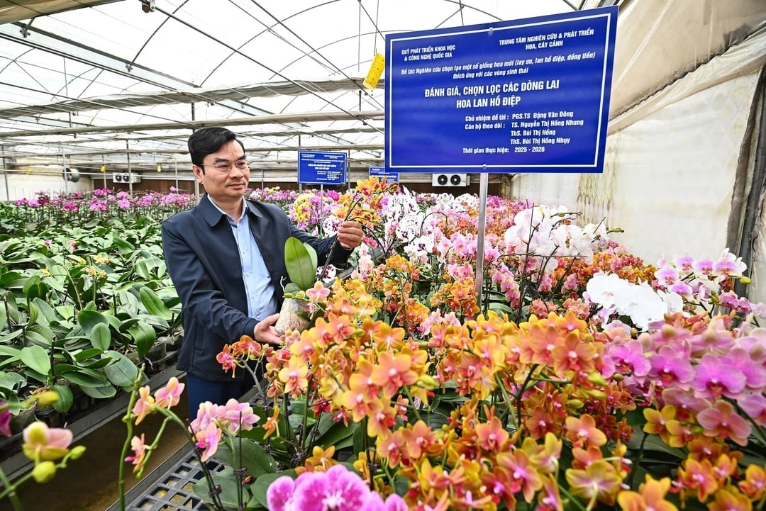 021226 nhung giong hoa lan 2