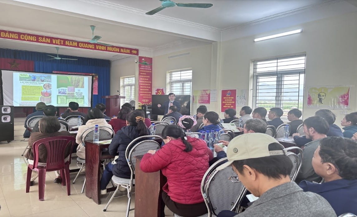 030226 hieu qua 3.jpg.png