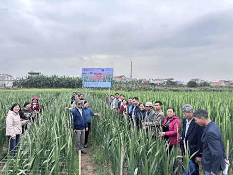 030226 hieu qua 4.jpg.png.jpg