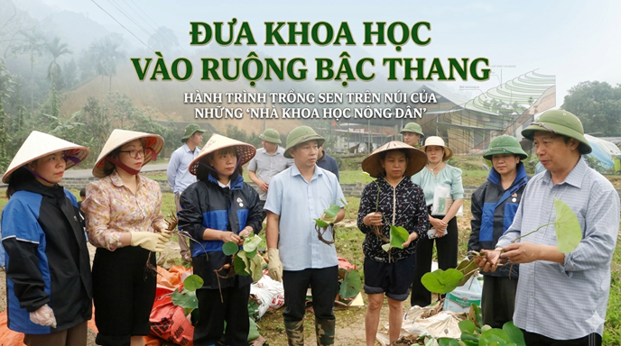 060826 dua khoa hoc vao ruong bac thang 1