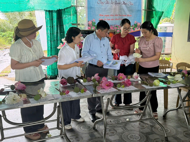 080426 vien nghien cuu rau qua 5