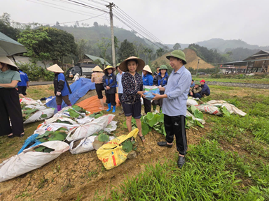 081726 sen ben re vung cao 4