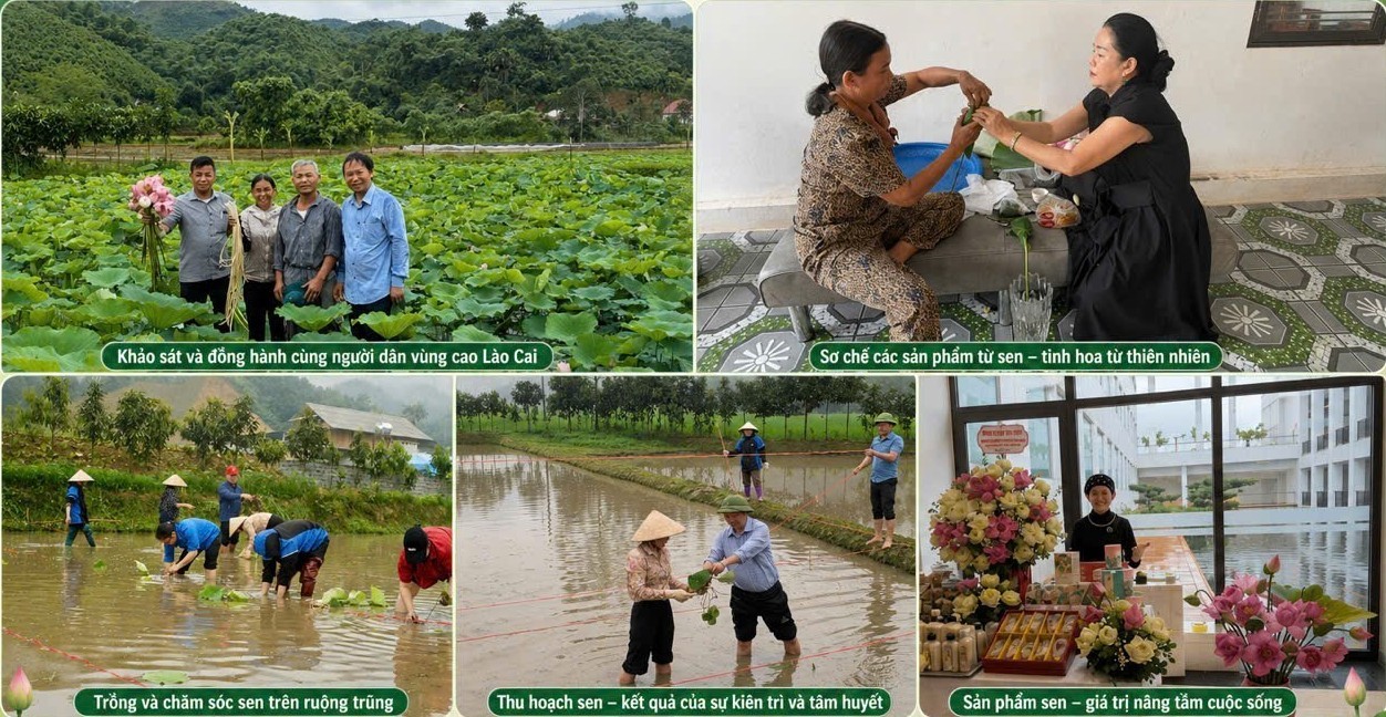 081726 sen ben re vung cao 6.png