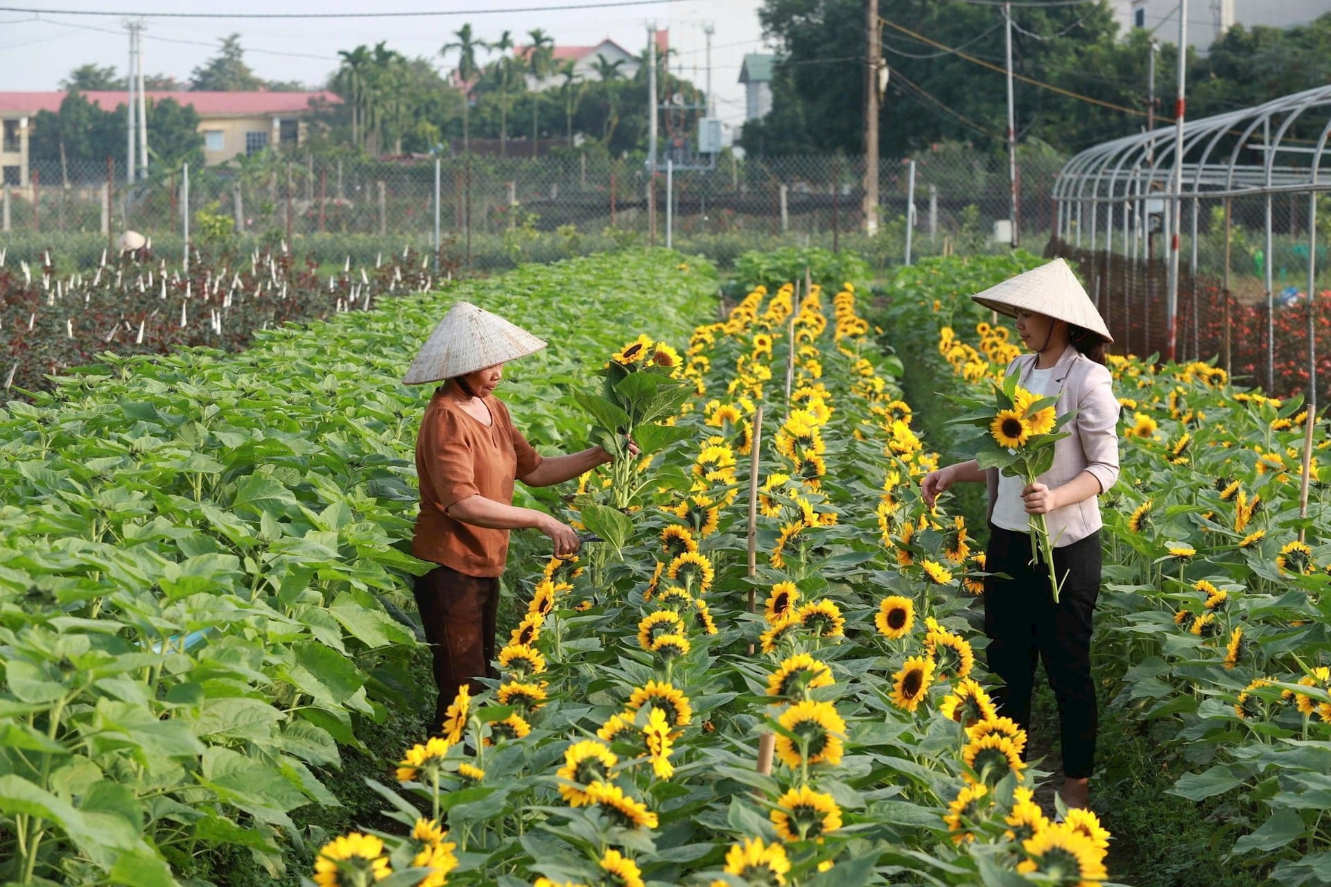 260406 ha noi 11