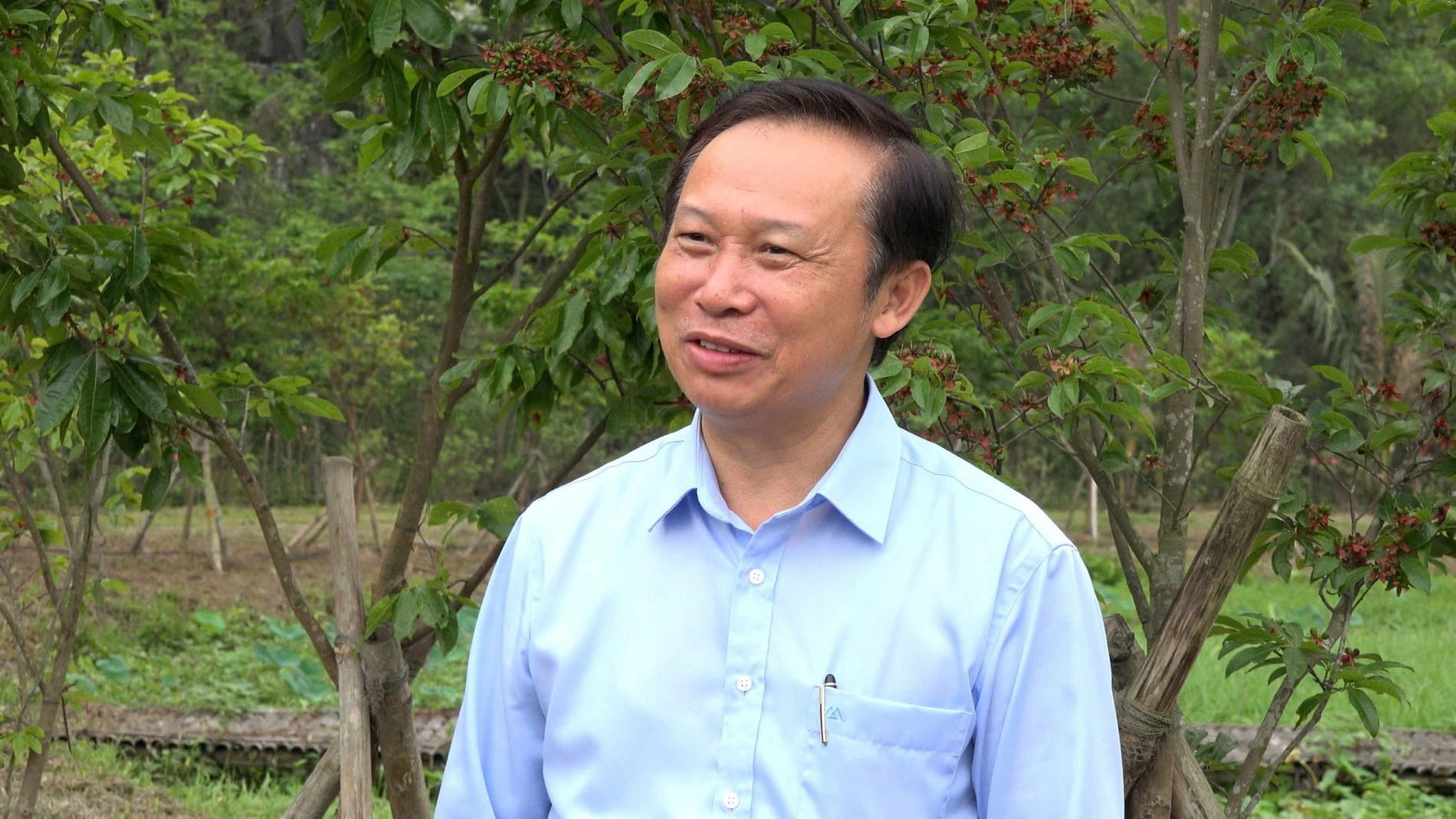 260406 mai vang 12
