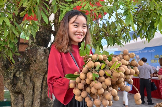 181109 Dang sau su ngot ngao nhan muon 2