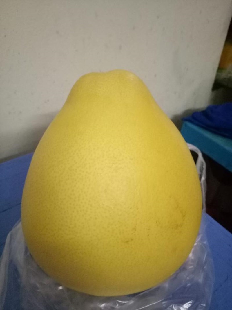 181206 buoi vang ong TQ 2