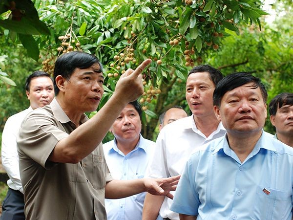 BT tham vuon tai Hung Yen