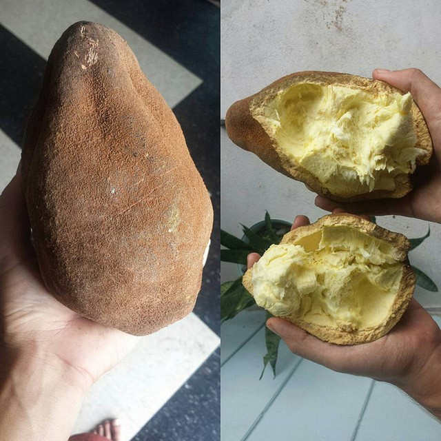 Cupuacu