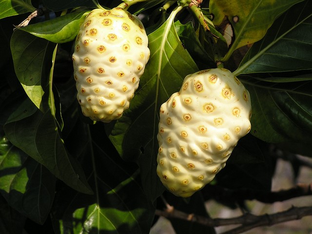 Trai Nhau
