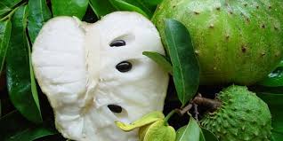 mangcauxiem
